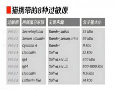 过敏性鼻炎为何在养猫多年后才爆发？ ＂铲屎官＂请注意！